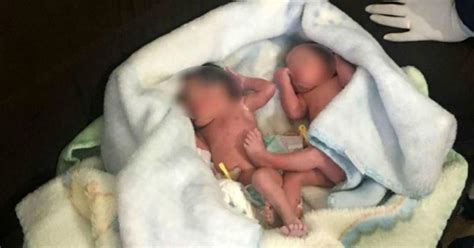 abandoned newborn twins   women mistake cries  puppies
