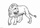 Singa Mewarnai Marimewarnai Animal Cheetah Coloing Paud Tk Birijus sketch template