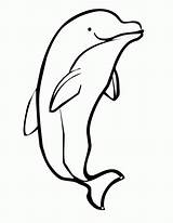 Dolphin Coloring Hello sketch template