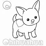 Coloring Chihuahua Pages Kids Coloringbay sketch template