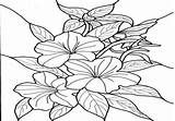 Pages Coloring Flower Exotic Hibiscus Hawaiian Getdrawings Getcolorings sketch template