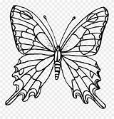 Schmetterling Papillon Schmetterlinge Mandalas 1021 Pinclipart Cool2bkids Verwandt Kinderbilder Malvorlagen Bestof Mariposas sketch template