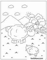 Sheep Coloring Verbnow sketch template