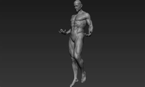 Male Full Body Sculpt Pose 1 3d Model Cgtrader