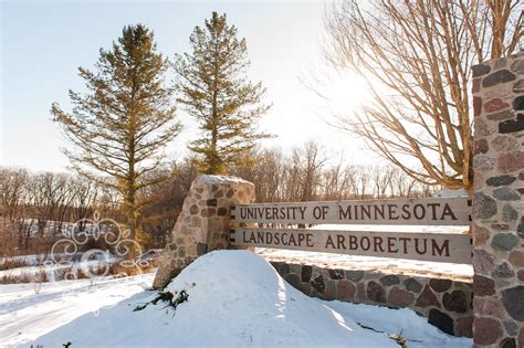 mn landscape arboretum winter wedding photos