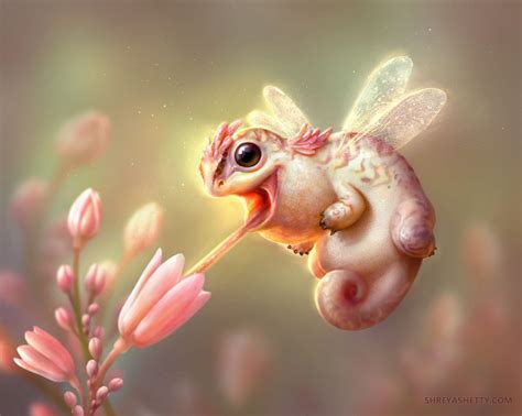 whimsicalcute   creature art fantasy creatures mythical