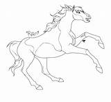 Spirit Horse Coloring Pages Rain Drawing Riding Pinto Sotc Colorings Getdrawings Printable Color Deviantart Ref Sheet Getcolorings Print Comments Popular sketch template