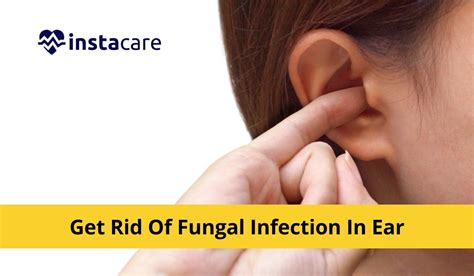 amazing home remedies   rid  fungal infection  ear