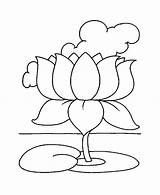 Flower Lotus Coloring Drawing Magnolia National Outline Color Getdrawings Getcolorings Pages Sheet sketch template