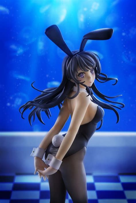 Buy Seishun Buta Yarou Wa Bunny Girl Senpai No Yume Wo Minai