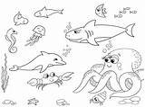 Coloring Pages Sea Kids Creatures Marine 30seconds Fish Seaweed Sharks Dolphins Themed Mom Other Life Marino Clipart Tip Animals Colorear sketch template