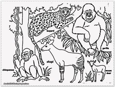 coloring pages  jungle animals