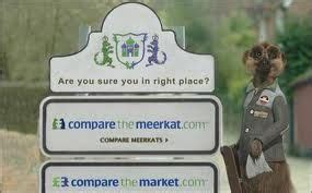 compare  meerkat google search meerkat start
