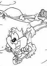 Looney Tunes Disegni Taz Colorare Pobarvanke Toons Printable Coloriages Animaatjes Elmer Colouring Pianetabambini Malarbilder Précédent sketch template