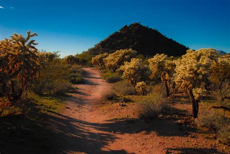 arizona desert landscape  stock photo public domain pictures