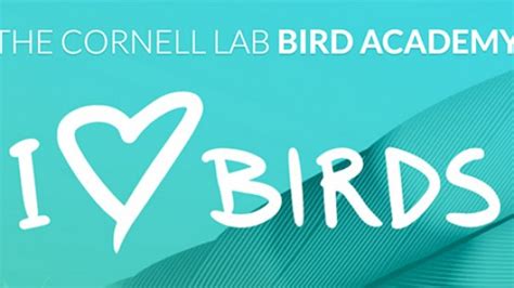 bird academy takes wing cornell chronicle