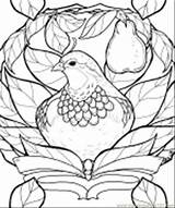 Pear Partridge Coloringpages101 sketch template
