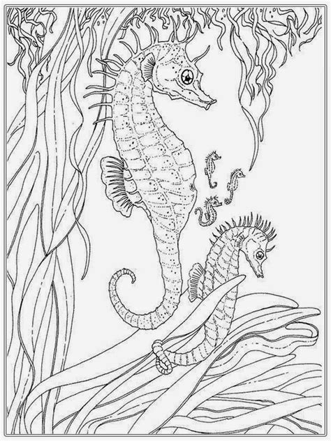 realistic coloring pages  adults coloring pages