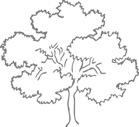 oak tree outline royalty  vector graphic pixabay
