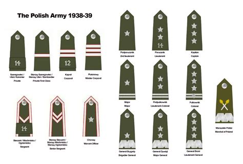 Wwii Polish Uniform Guide Warlord Games