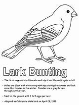 Lark Bunting Quail Emblems Kidzone Ws sketch template
