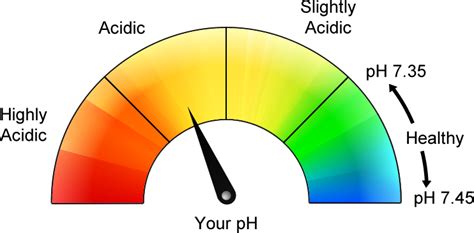 How Acidic Is Your Body Assessment