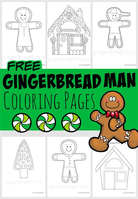 gingerbread coloring sheets  kids