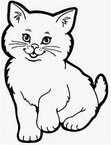 Gambar Kucing Mewarnai Latihan Lucu sketch template