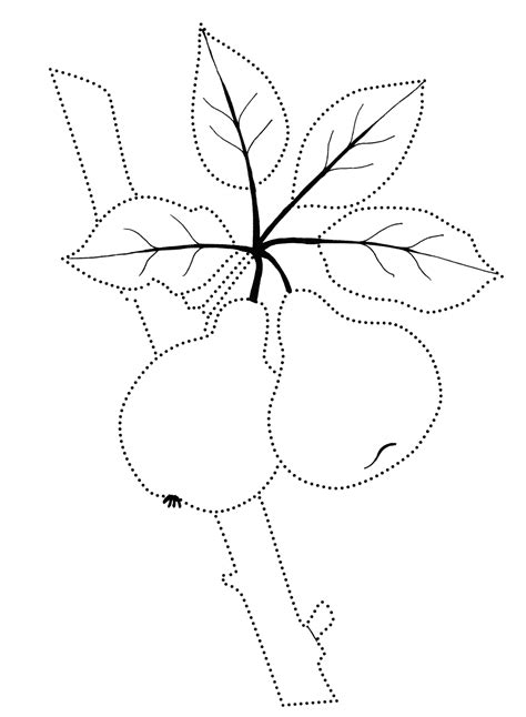 coloring page sweet fruit   tree