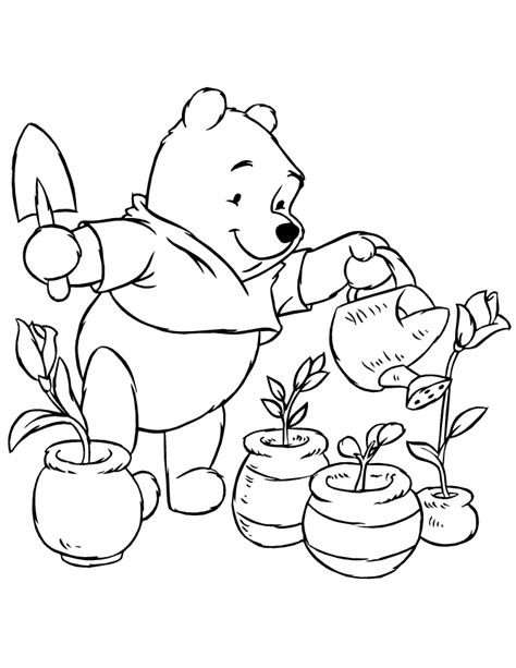 plant coloring page coloring home