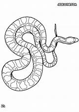 Serpent Coloriages Hellokids Utile sketch template