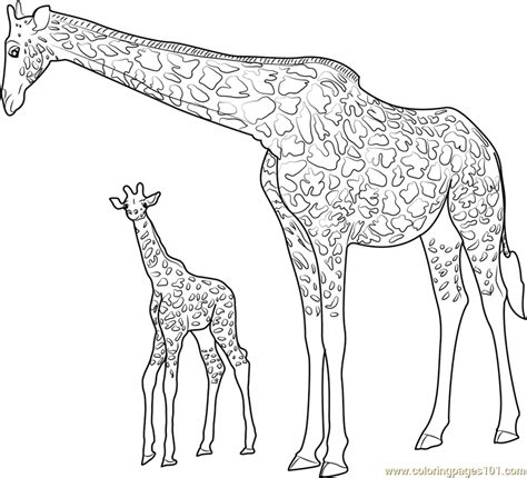 giraffe  baby coloring page  giraffe coloring pages