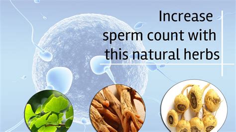 healthy food for healthy sperm organic food