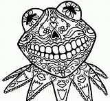 Muertos Kermit Calaveras Clipartmag Coloringhome Popular sketch template