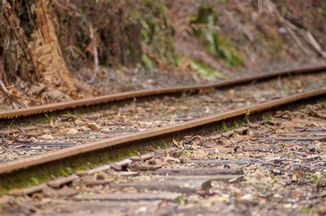 west coast wilderness railway track pegs