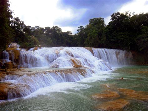 cascadas de agua azul chiapas mexico fauna mexico travel cascade