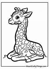 Giraffe Sleepy Softer Especially Iheartcraftythings sketch template