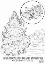 Coloring Colorado State Pages Tree Flag Nevada Texas Drawing Iowa Printable Symbols Empire Building Getcolorings Mexico Dimensions Color Getdrawings Holidays sketch template