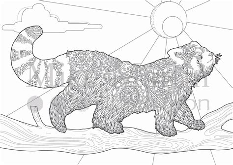 printable red panda coloring page instant  adult