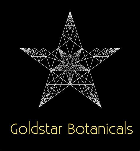 goldstar collective indiegogo