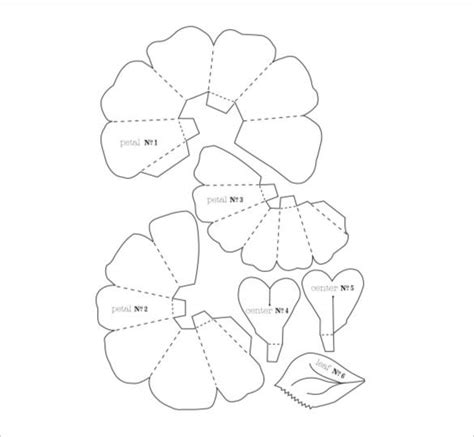flower petal templates  vector eps tsvetochnye karty