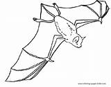 Bat Coloring Color Pages Animal Bats Flying Printable Sheet Sheets Found sketch template