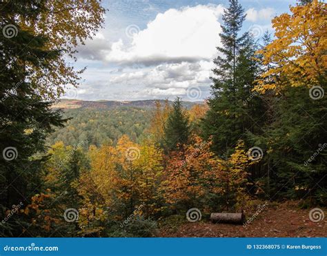 world renowned algonquin park colour stock image image  canada