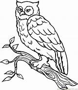Coloring Owl Pages Snowy Printable Popular sketch template