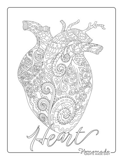 heart health coloring pages