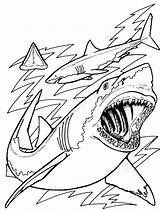 Coloring Pages Shark Kids Wild Ocean Choose Board sketch template