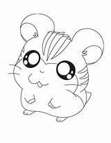Coloring Chinchilla Pages Printable Color Animals sketch template