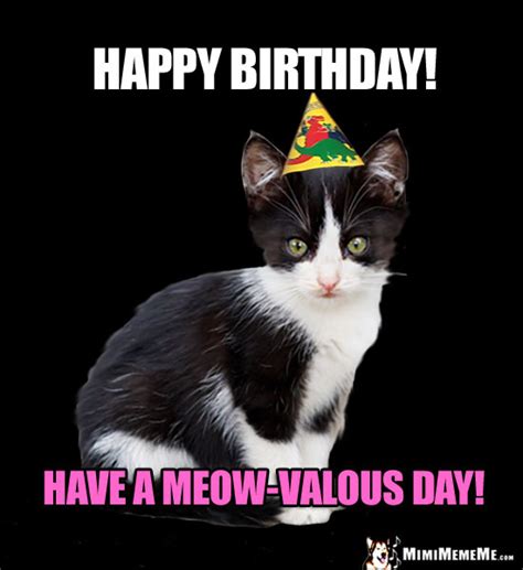 sweet cat birthday  funny cat  day memes cute purr day