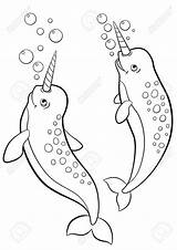 Coloring Narwhal Pages Whale Cute Baby Drawing Beluga Sperm Getdrawings Getcolorings Printable Template Color sketch template