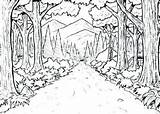 Forests sketch template